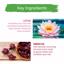 Himalaya Gentle Daily Care Protein Conditioner for Smooth 3 Pack Thumbnail 5