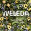 Weleda Sport Arnica Shower Gel Thumbnail 6
