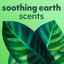 Softsoap Oat Milk & Vanilla Body Wash, Hypoallergenic Thumbnail 2