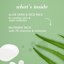 Burt's Bees Night Facial Lotion Thumbnail 3