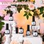 Modelones Gel Nail Polish Set Nude Pink White  Thumbnail 2