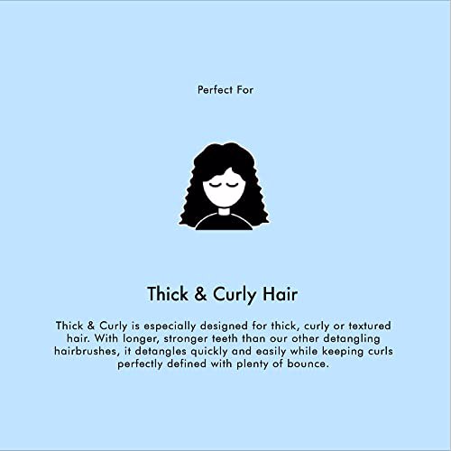 Tangle Teezer The Thick and Curly Detangling Hairbrush 4