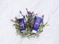 Urtekram Purple Lavender Conditioner  Thumbnail 2