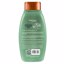 Aveeno Fresh Greens Shampoo + Conditioner Thumbnail 3