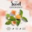 Herbal Essences, Volume Shampoo & Conditioner Thumbnail 7