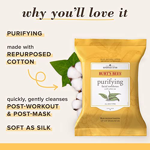 Burt's Bees Sensitive Facial Cleansing, White Tea 3