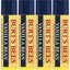 Burt's Bees 100% Natural Moisturizing Lip Balm Vanilla Bean Thumbnail 9