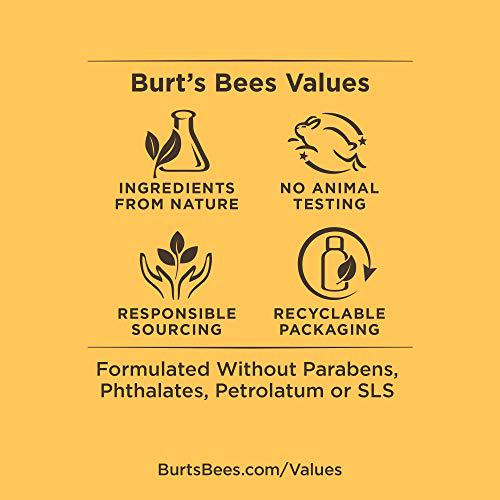 Burt's Bees Lavender & Honey Body Wash 7
