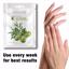 MOND'SUB 5 Pairs Mineral Olive Oil Moisturizing Hand Masks Thumbnail 5