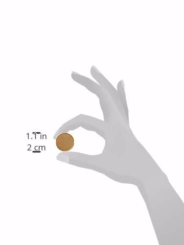 Anastasia Beverly Hills Eyeshadow Single Tiger's Eye 5