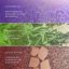 Himalaya Botanique Refreshing Lavender & Rosemary Body Bar Thumbnail 5