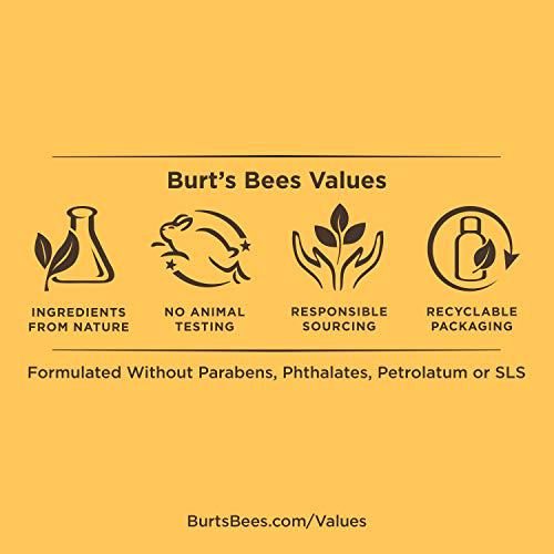 Burt's Bees 100% Natural Moisturizing Matte Lip Crayon, Hawaiian Smolder 6