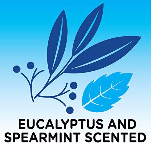 Solimo Epsom Salt Soaking Aid, Eucalyptus Scented (Pack of 6) 4