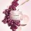 Caudalie Resveratrol-Lift Firming Cashmere Cream Thumbnail 4