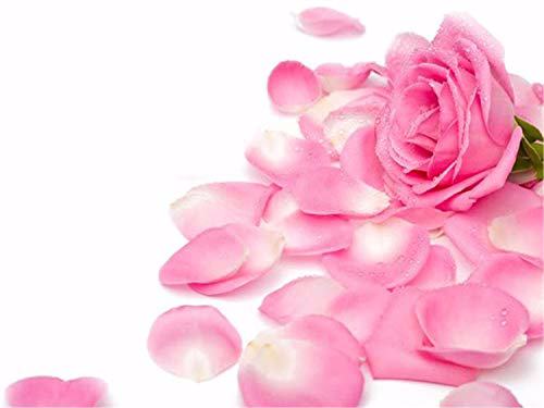 L'Occitane Moisturizing Rose Hand Cream 4