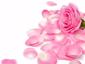 L'Occitane Moisturizing Rose Hand Cream Thumbnail 4