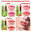 BINGBRUSH 3 Pcs Aloe Color Changing Lipstick Carrot Strawberry Thumbnail 4