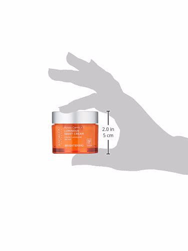 Andalou Natural Purple Carrot + C Luminous Night Cream 10