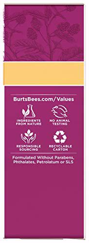 Burt's Bees Renewal Dark Spot Corrector 14