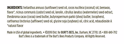 Burt's Bees 100% Natural Origin Moisturizing Lip Balm Watermelon 6