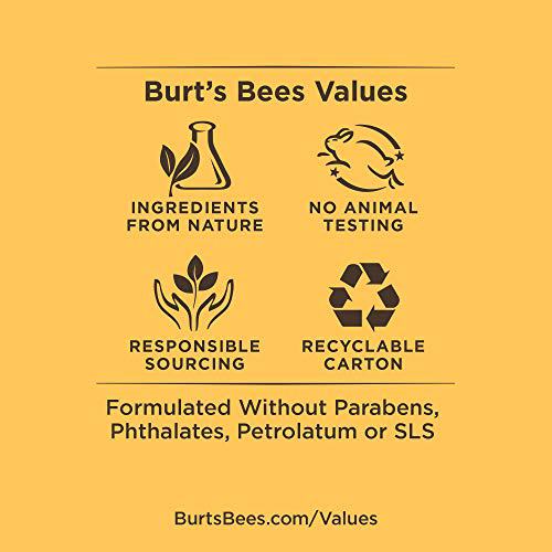 Burt's Bees Renewing Lip Treatment White 3