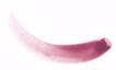 Burt's Bees 100 % Natural Moisturizing Tinted Lip Oil, Whispering Orchid Thumbnail 3