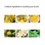 CATKIN Lip Balms  Thumbnail 7