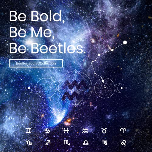 Beetles Zodiac Collection Gel Nail Polish Kit, Aquarius 8