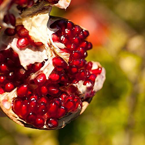 Weleda Regenerating Pomegranate Hand Cream 4