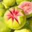 Petal Fresh Pure Perfecting Guava Nectar Body Butter Thumbnail 5