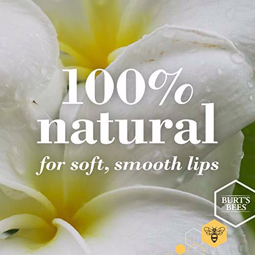 Burt's Bees 100% Natural Lip Balm, Wild Cherry and Vanilla Bean Blister Box 3