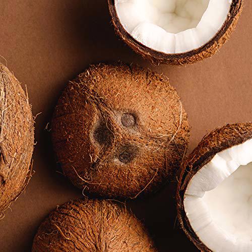 Petal Fresh Pure Smoothing Coconut Body Butter 5