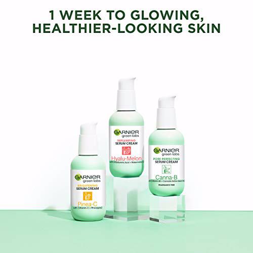 Garnier SkinActive Green Labs Canna-B Pore Perfecting Serum Cream Moisturizer 13