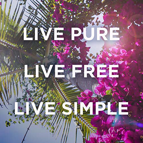 Petal Fresh Pure Restoring Honey & Coconut Body Butter 5