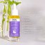REN Clean Skincare Bio Retinoid Youth Concentrate Retinoid Oil Thumbnail 7