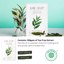 BALLONBLANC Therapy Relaxing Self Care Face Facial Mask, 6 Masks A set Thumbnail 7