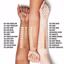 Rimmel Stay Matte Foundation, Light Nude Thumbnail 6