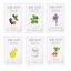 BALLONBLANC Therapy Relaxing Self Care Face Facial Mask Sheet, 6 Masks B set Thumbnail 1