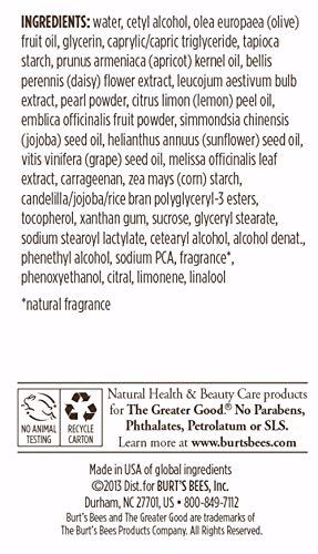 Burt's Bees Brightening Moisturizing Cream 5