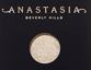 Anastasia Beverly Hills Eyeshadow Single Metal Thumbnail 2