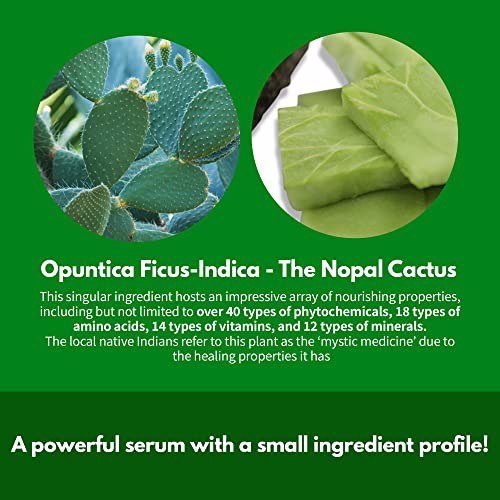 Whamisa Fresh Cactus Bouncy Serum 4