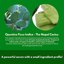 Whamisa Fresh Cactus Bouncy Serum Thumbnail 4