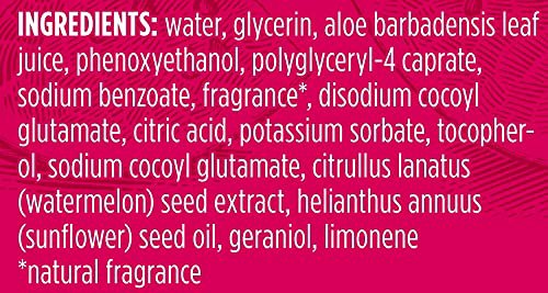 Burt’s Bees Hydrating Facial Cleanser, Watermelon 9
