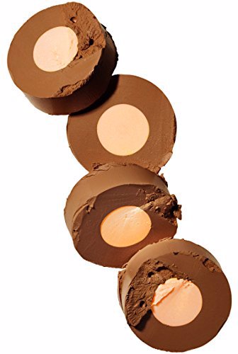 Maybelline New York Fit Me Shine-Free + Balance Stick Foundation Coconut 5