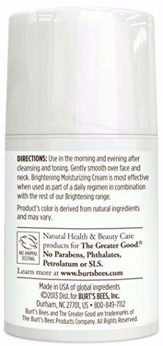 Burt's Bees Brightening Moisturizing Cream 4