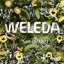 Weleda Sea Buckthorn Hand Cream Thumbnail 10