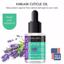 Karlash Salon Spa Premium Brush On Cuticle Oil, Lavender & Tea Tree Thumbnail 2