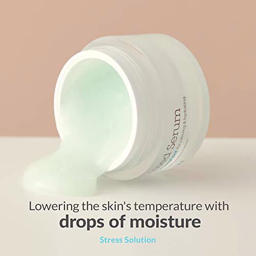Blithe Pressed Serum Crystal Iceplant Cooling Face Moisturizer Gel 3