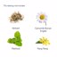 Aromatherapy Associates Bath and Shower Oil Thumbnail 6