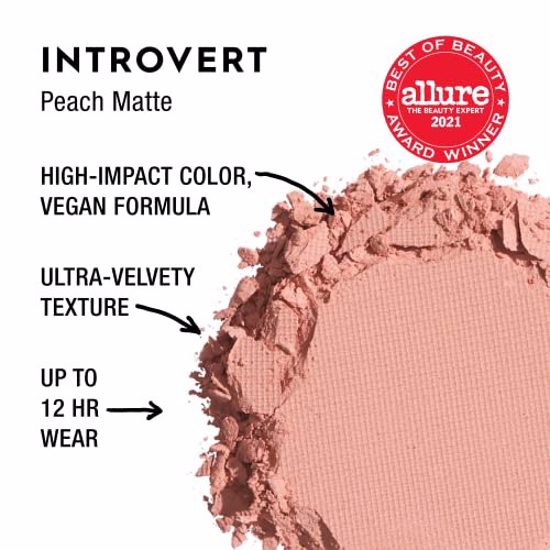 Urban Decay 24/7 Eyeshadow Compact, Introvert 2